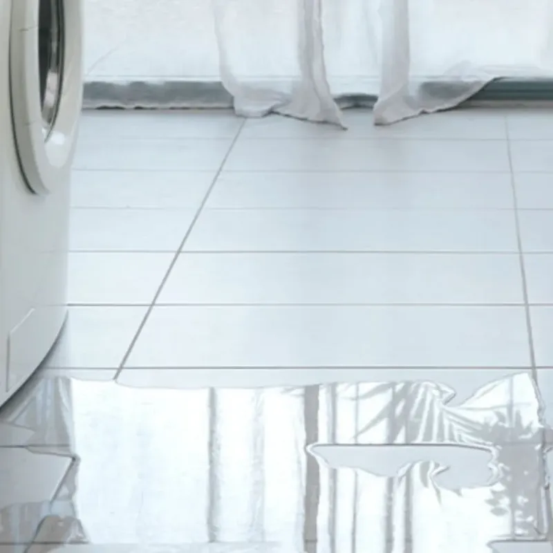 Appliance Leak Cleanup in Carmel, IN