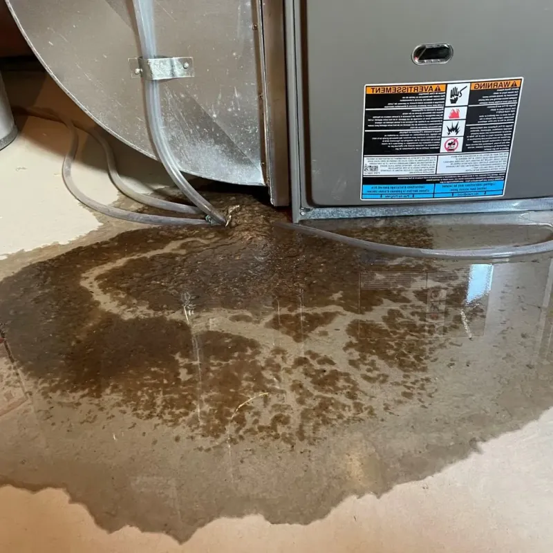 Pipe Burst and Leak Restoration in Carmel, IN